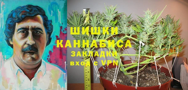крисы Корсаков