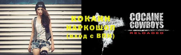 крисы Корсаков