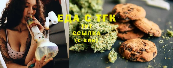 крисы Корсаков