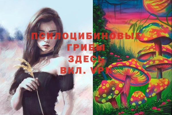 амфетамин Коряжма