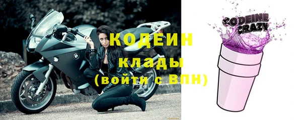крисы Корсаков