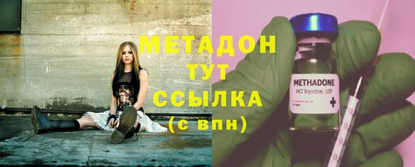крисы Корсаков
